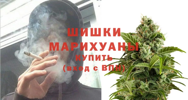 трава Бородино