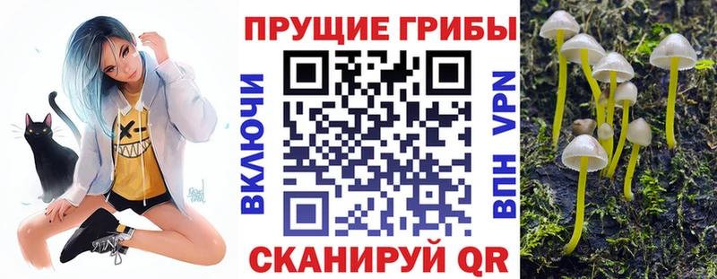 mega маркетплейс  наркотики  Навашино  Галлюциногенные грибы Psilocybe 